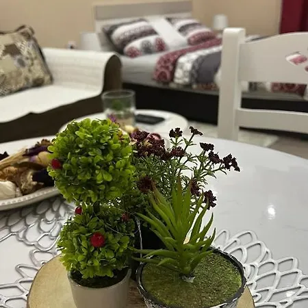 Apartment Downtown