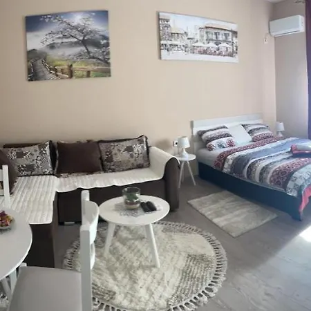 Downtown Apartment